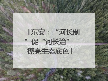 东安：“河长制”促“河长治” 擦亮生态底色