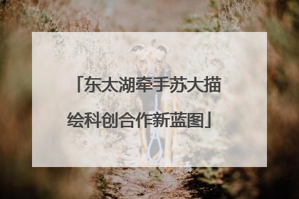 东太湖牵手苏大描绘科创合作新蓝图