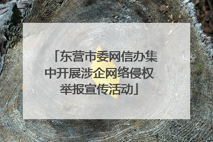 东营市委网信办集中开展涉企网络侵权举报宣传活动