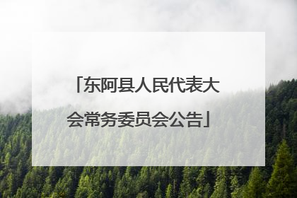 东阿县人民代表大会常务委员会公告