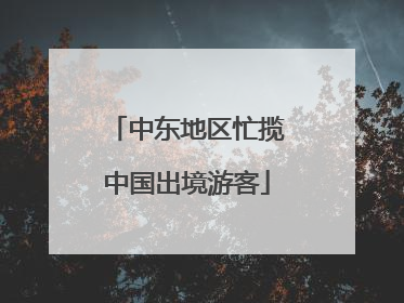中东地区忙揽中国出境游客