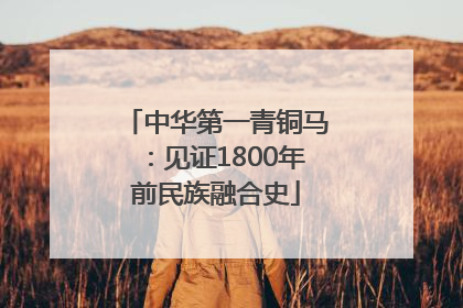 中华第一青铜马：见证1800年前民族融合史