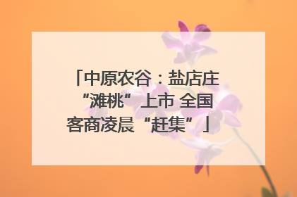 中原农谷：盐店庄“滩桃”上市 全国客商凌晨“赶集”