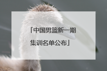 中国男篮新一期集训名单公布