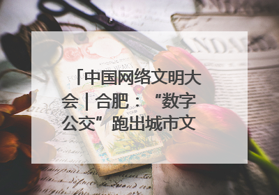中国网络文明大会｜合肥：“数字公交”跑出城市文明新速度