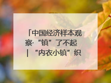 中国经济样本观察·“镇”了不起｜“内衣小镇”织出500亿元“里子产业”