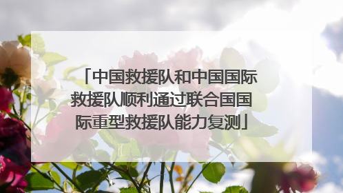 中国救援队和中国国际救援队顺利通过联合国国际重型救援队能力复测