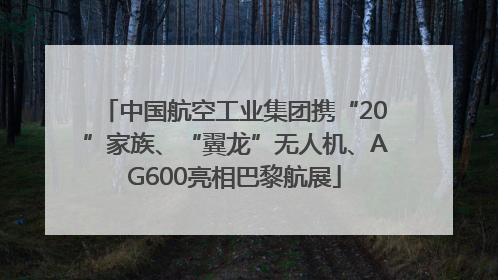 中国航空工业集团携“20”家族、“翼龙”无人机、AG600亮相巴黎航展