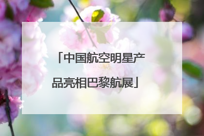 中国航空明星产品亮相巴黎航展