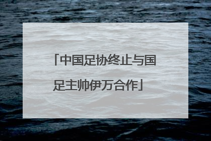 中国足协终止与国足主帅伊万合作