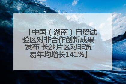中国（湖南）自贸试验区对非合作创新成果发布 长沙片区对非贸易年均增长141%