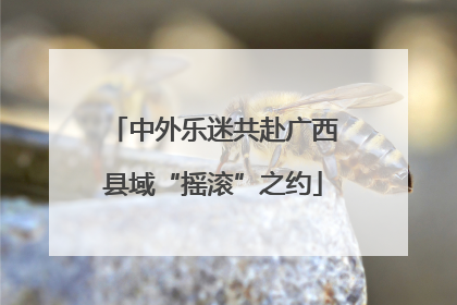 中外乐迷共赴广西县域“摇滚”之约