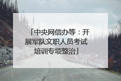 中央网信办等：开展军队文职人员考试培训专项整治