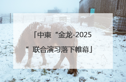 中柬“金龙-2025”联合演习落下帷幕