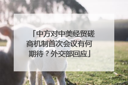中方对中美经贸磋商机制首次会议有何期待？外交部回应