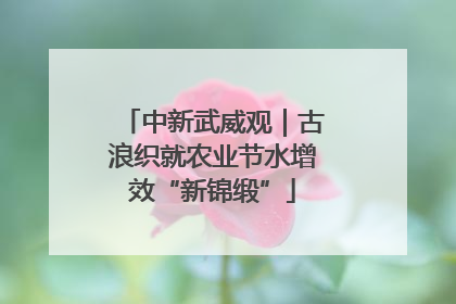 中新武威观｜古浪织就农业节水增效“新锦缎”