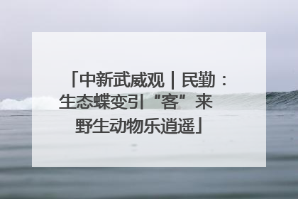 中新武威观｜民勤：生态蝶变引“客”来 野生动物乐逍遥