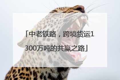 中老铁路，跨境货运1300万吨的共赢之路