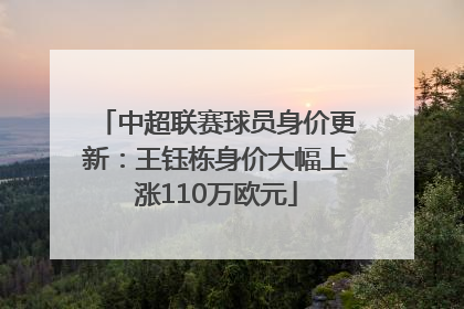 中超联赛球员身价更新：王钰栋身价大幅上涨110万欧元