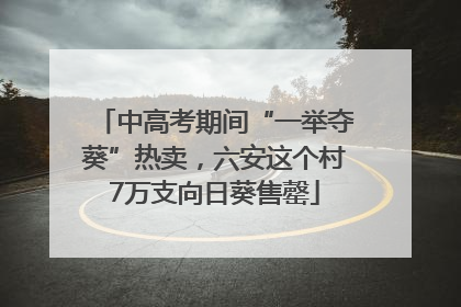 中高考期间“一举夺葵”热卖，六安这个村7万支向日葵售罄