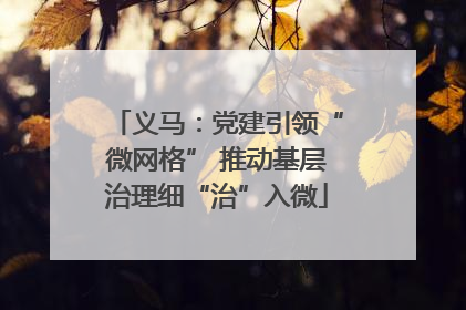 义马：党建引领“微网格” 推动基层治理细“治”入微