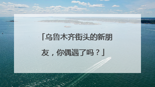 乌鲁木齐街头的新朋友，你偶遇了吗？