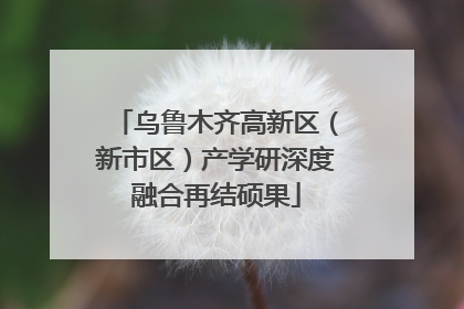 乌鲁木齐高新区（新市区）产学研深度融合再结硕果