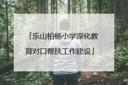 乐山柏杨小学深化教育对口帮扶工作建设