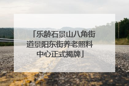 乐龄石景山八角街道景阳东街养老照料中心正式揭牌