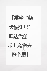 乘坐“柴犬馒头号”抵达治愈，带上宠物去逛个展