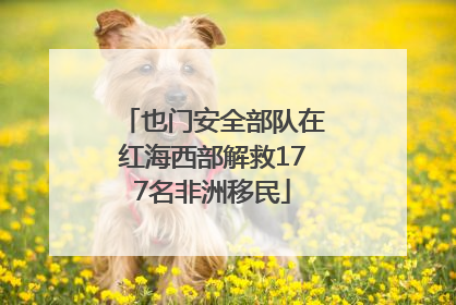 也门安全部队在红海西部解救177名非洲移民