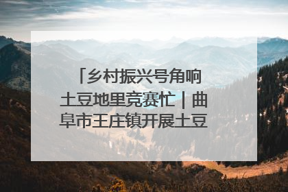 乡村振兴号角响 土豆地里竞赛忙｜曲阜市王庄镇开展土豆收获劳动竞赛