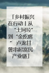 乡村振兴在行动丨从“土坷垃”到“金疙瘩” 卢龙甘薯串起富民产业链