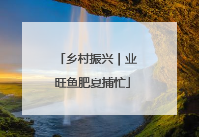 乡村振兴｜业旺鱼肥夏捕忙
