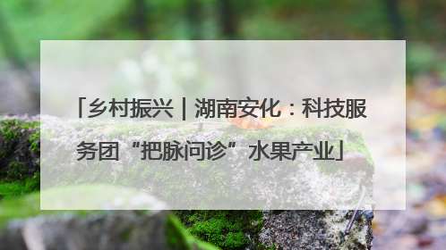 乡村振兴｜湖南安化：科技服务团“把脉问诊”水果产业