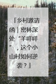 乡村邀请函｜密林深处“羊咩咩”，这个小山村如何逆袭？