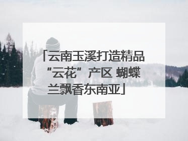 云南玉溪打造精品“云花”产区 蝴蝶兰飘香东南亚