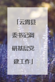 云霄县委书记调研基层党建工作