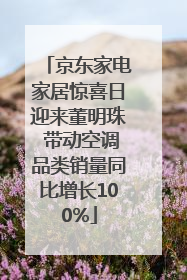 京东家电家居惊喜日迎来董明珠 带动空调品类销量同比增长100%