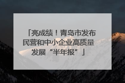 亮成绩！青岛市发布民营和中小企业高质量发展“半年报”