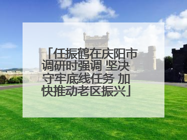 任振鹤在庆阳市调研时强调 坚决守牢底线任务 加快推动老区振兴