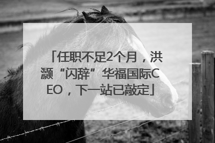 任职不足2个月，洪灏“闪辞”华福国际CEO，下一站已敲定