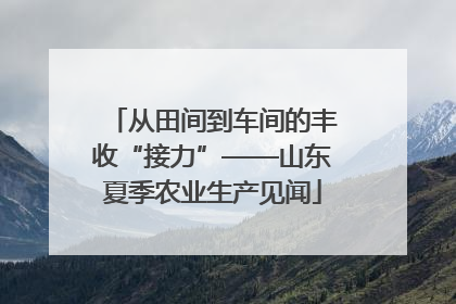 从田间到车间的丰收“接力”——山东夏季农业生产见闻