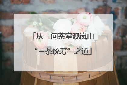 从一间茶室观岚山“三茶统筹”之道