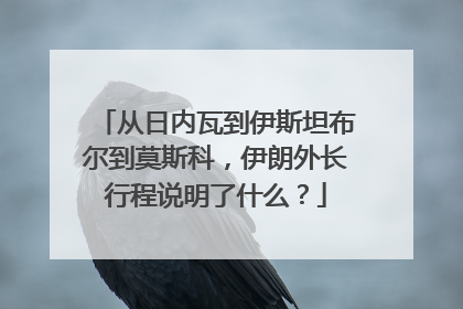 从日内瓦到伊斯坦布尔到莫斯科，伊朗外长行程说明了什么？