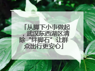 从脚下小事做起，武汉东西湖区清除“绊脚石”让群众出行更安心