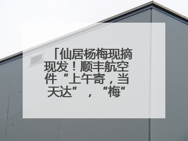 仙居杨梅现摘现发！顺丰航空件“上午寄，当天达”，“梅”好送到家！