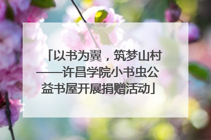 以书为翼，筑梦山村——许昌学院小书虫公益书屋开展捐赠活动