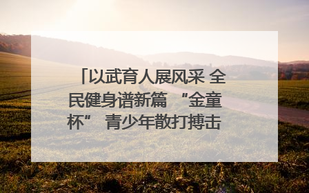 以武育人展风采 全民健身谱新篇 “金童杯” 青少年散打搏击邀请赛圆满落幕