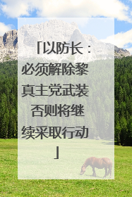 以防长：必须解除黎真主党武装 否则将继续采取行动